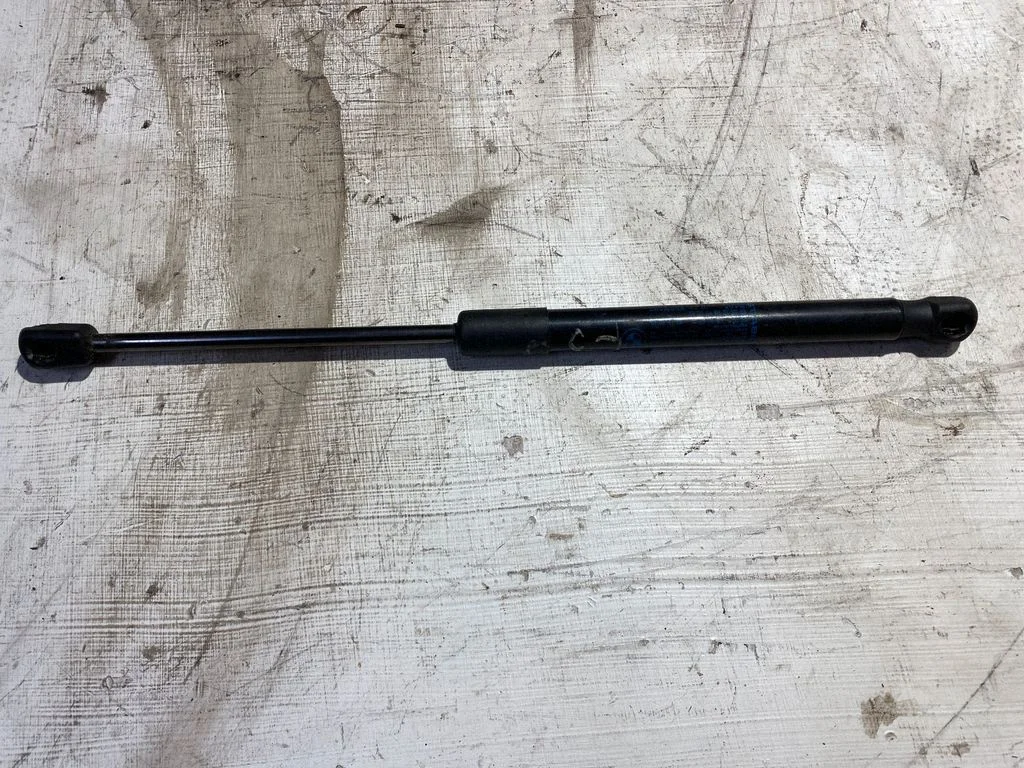 Tailgate/trunk strut/damper 7259763