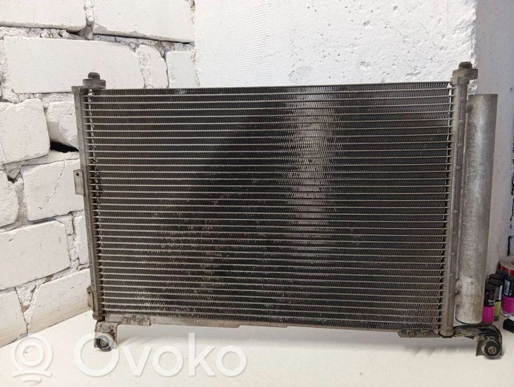 Oro kondicionieriaus radiatorius aušinimo