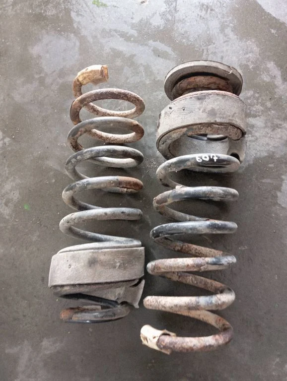 Rear coil spring