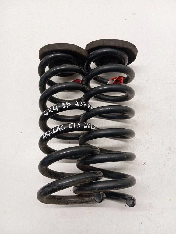 Rear coil spring 25798541