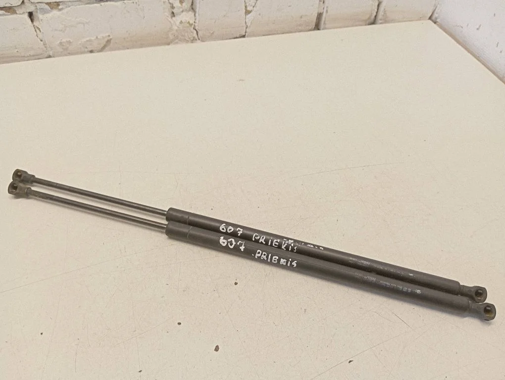 Front bonnet/hood damper/strut 21025100
