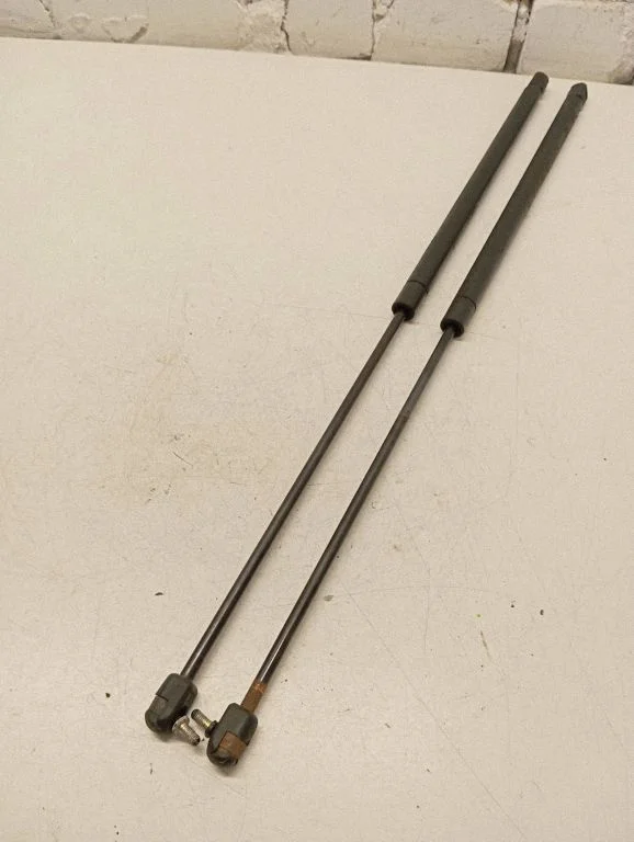 Front bonnet/hood damper/strut