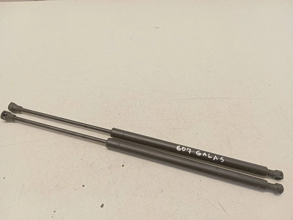 Tailgate/trunk strut/damper 9648344080