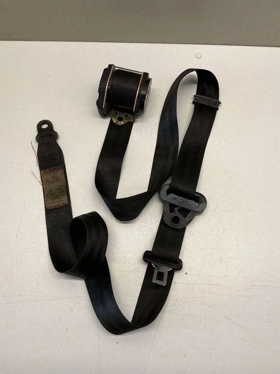 Rear seatbelt 703857811