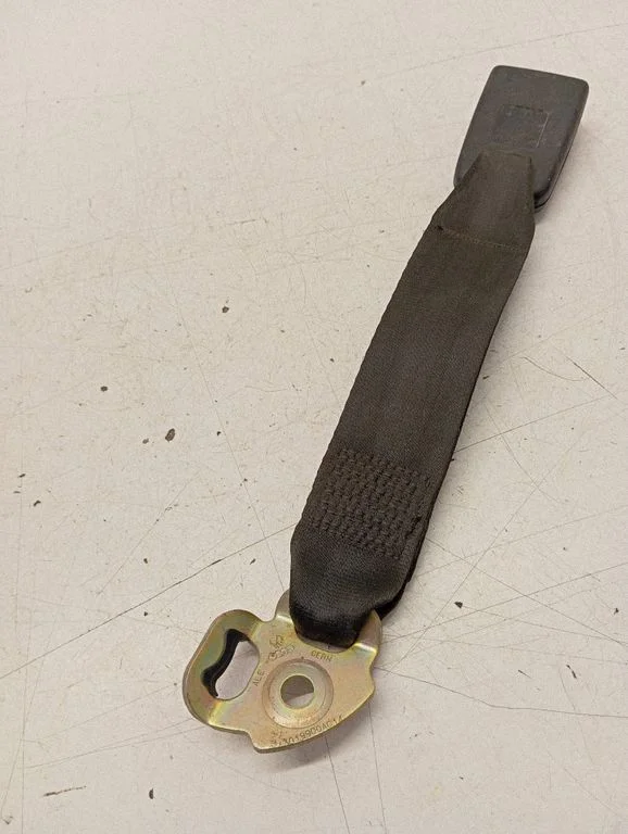 Rear seatbelt buckle 729857824