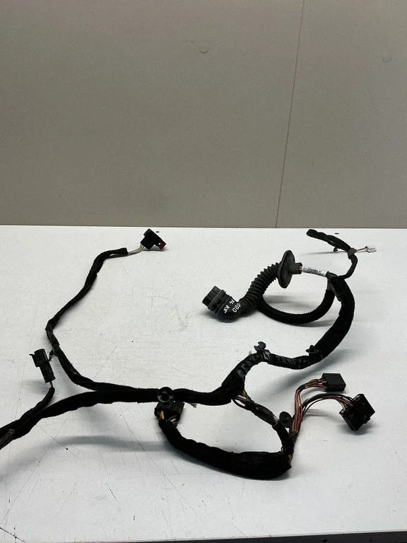 Front door wiring loom 8200463976
