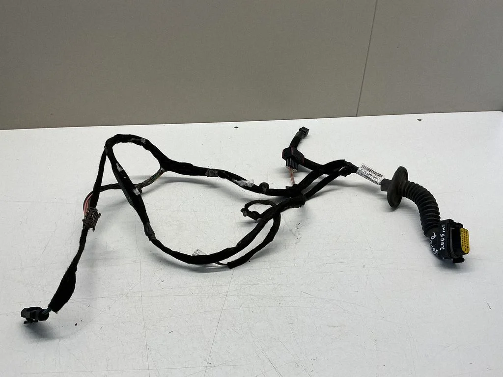 Front door wiring loom 8200463885