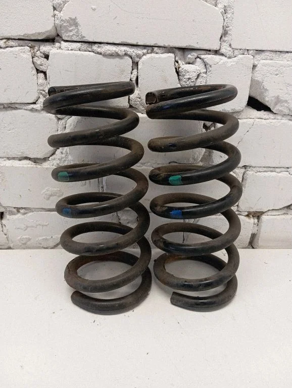 Rear coil spring