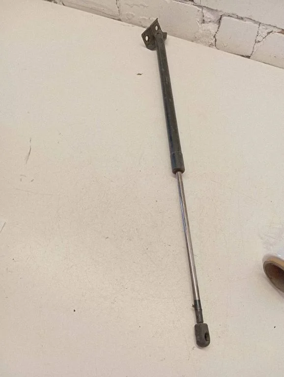 Tailgate/trunk strut/damper