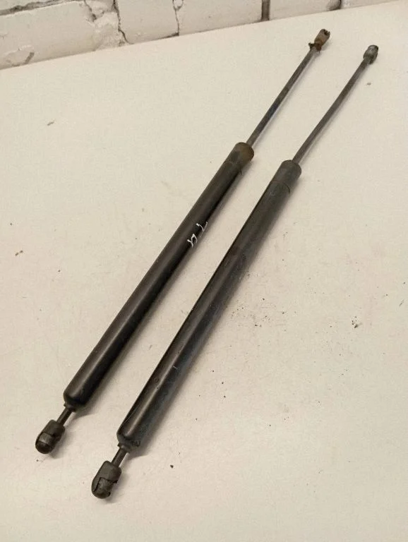 Tagaluugi gaasiamortisaator 701829331S