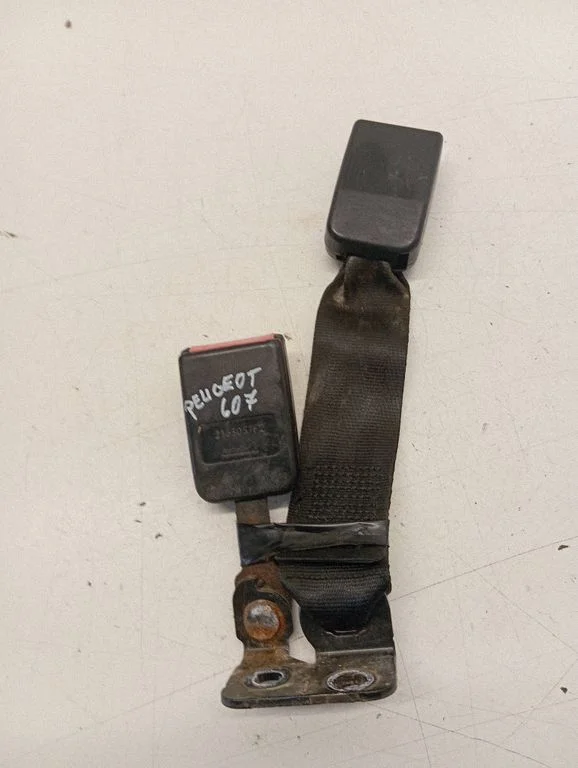 Rear seatbelt buckle 2165057F2