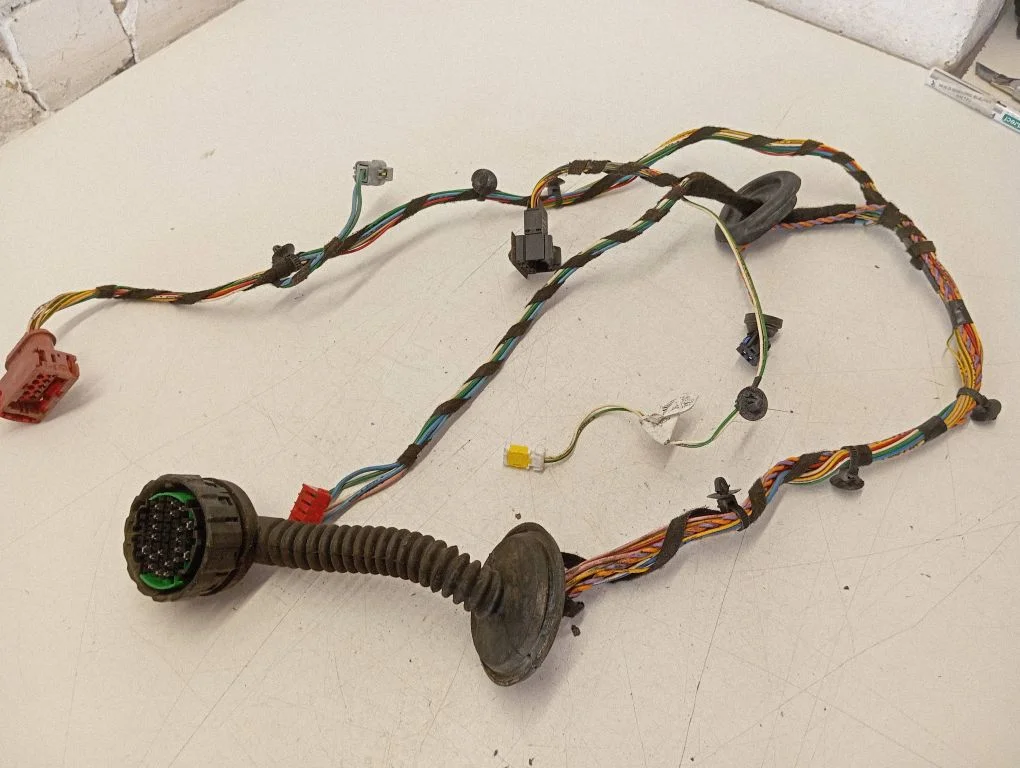 Front door wiring loom 9624621580