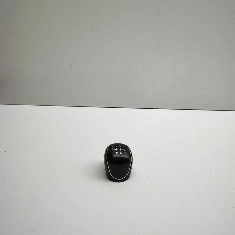 Käigukangi viimistlus (nahk, nupp)