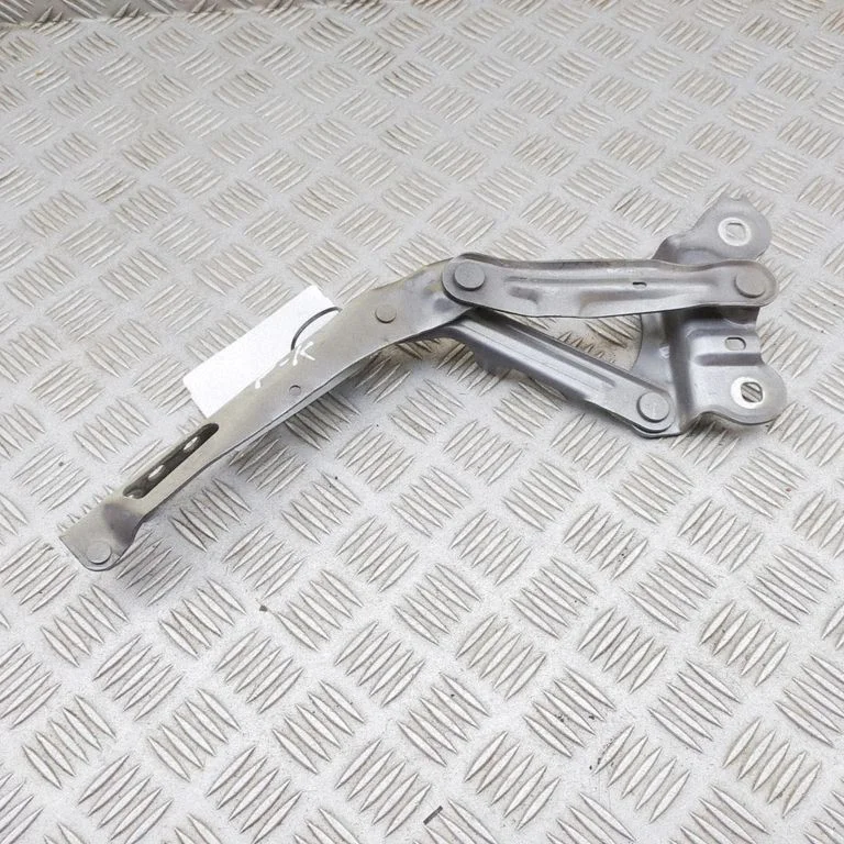 Motora pārsega eņģe (-es) 3V0823301