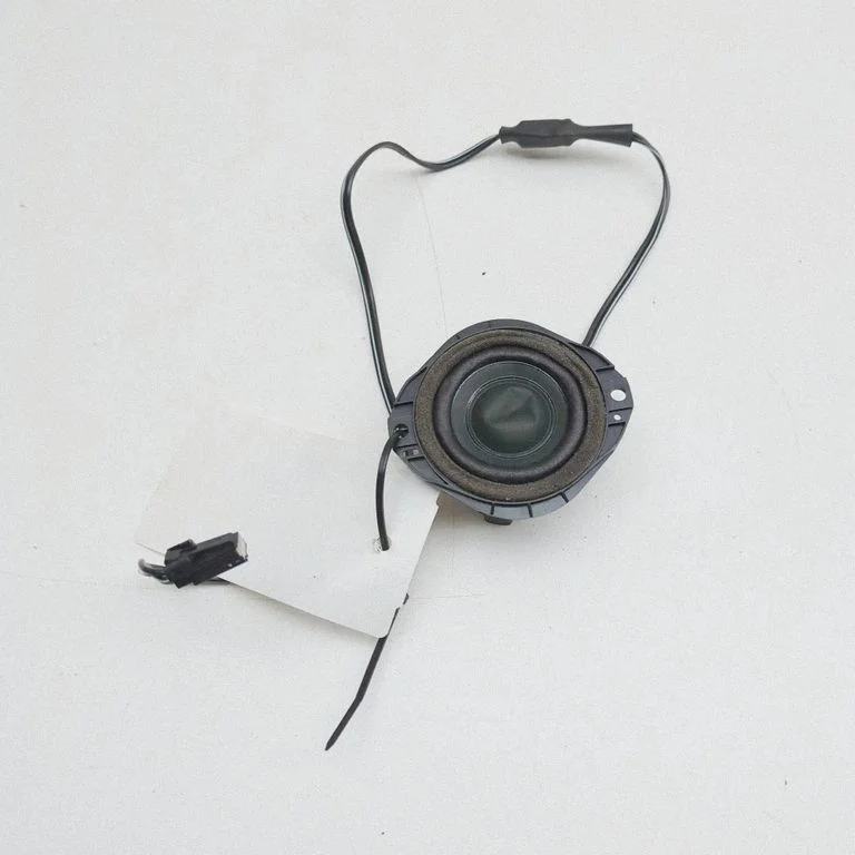 Panel speaker ET4T18808AA – Ford Edge II (2015-)