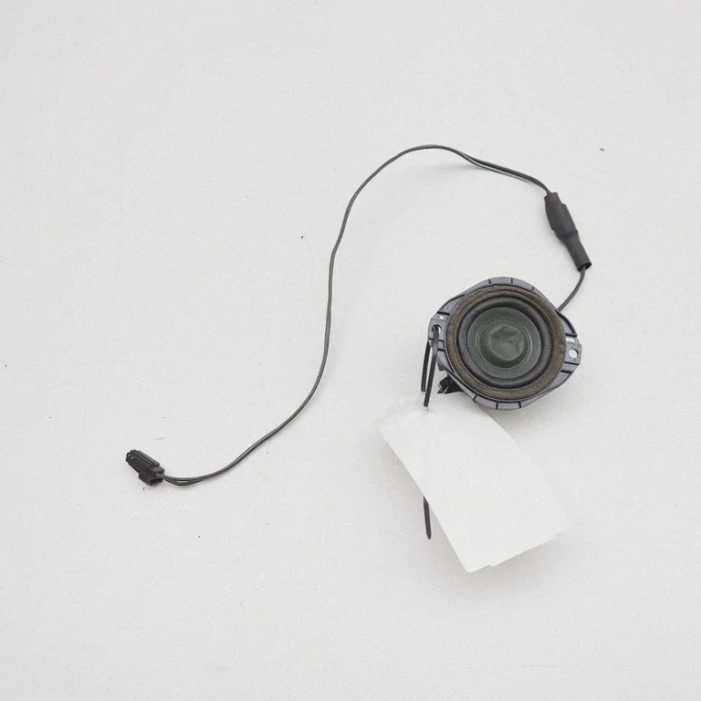 Panel speaker ET4T18808AA – Ford Edge II (2015-)