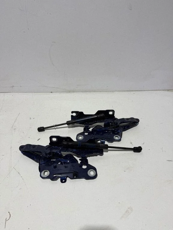 Engine bonnet/hood hinges 7397499