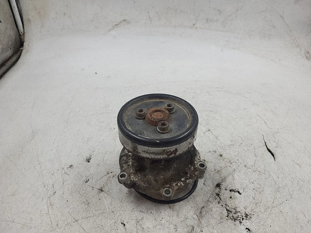 Vandens pompa