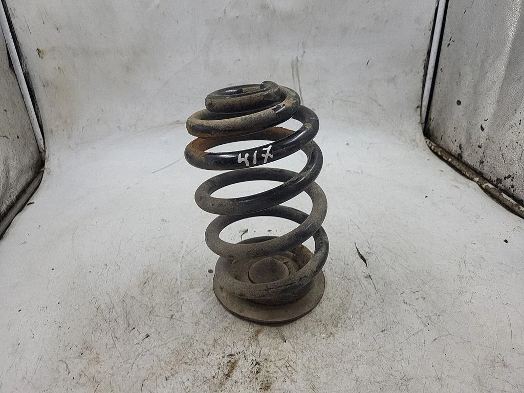 Rear coil spring