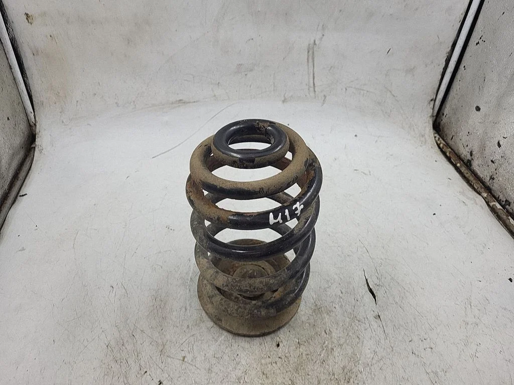 Rear coil spring
