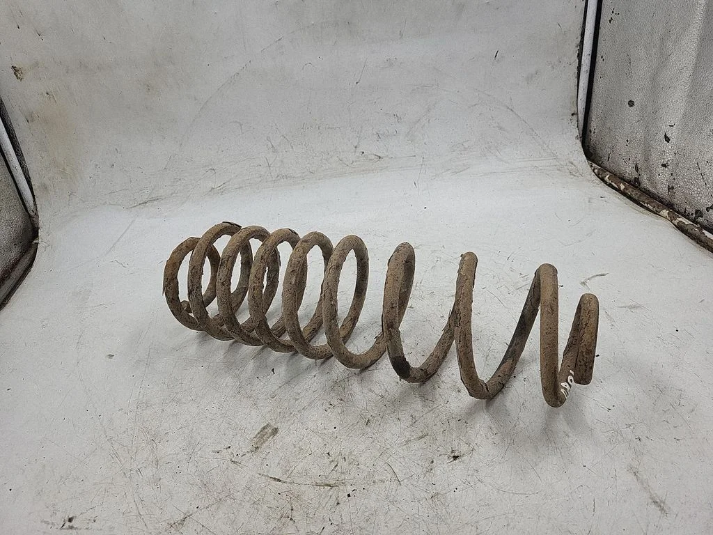 Rear coil spring