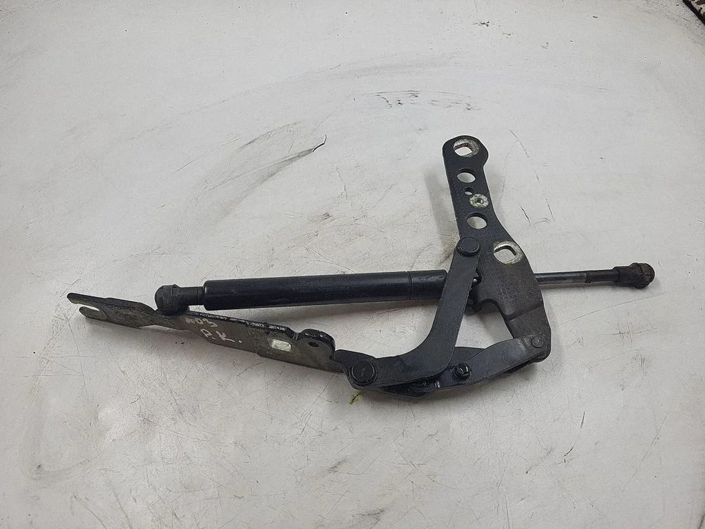 Engine bonnet/hood hinges – front left