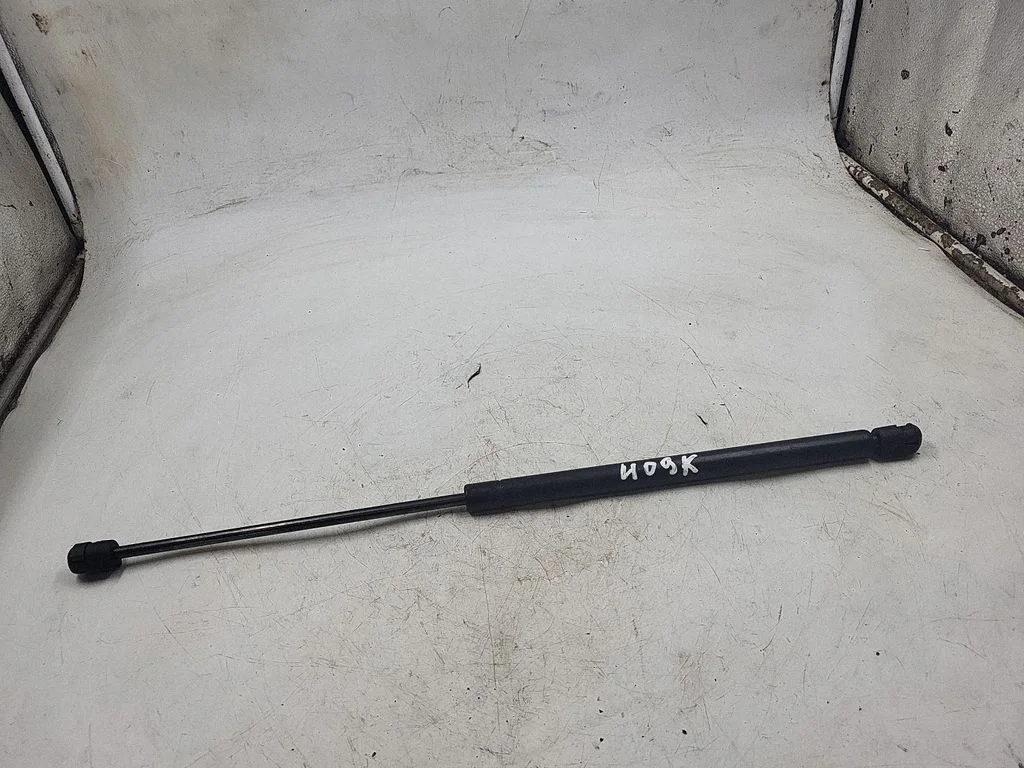 Front bonnet/hood damper/strut FT245N