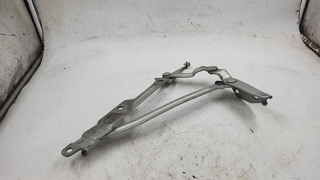 Vyris (-iai) galinio dangčio