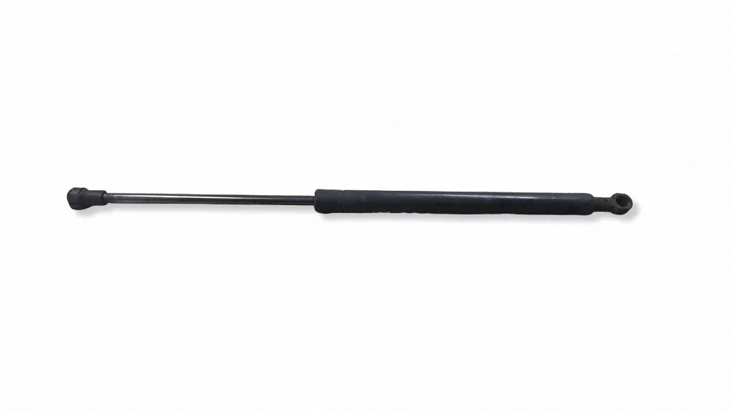 Tailgate/trunk strut/damper