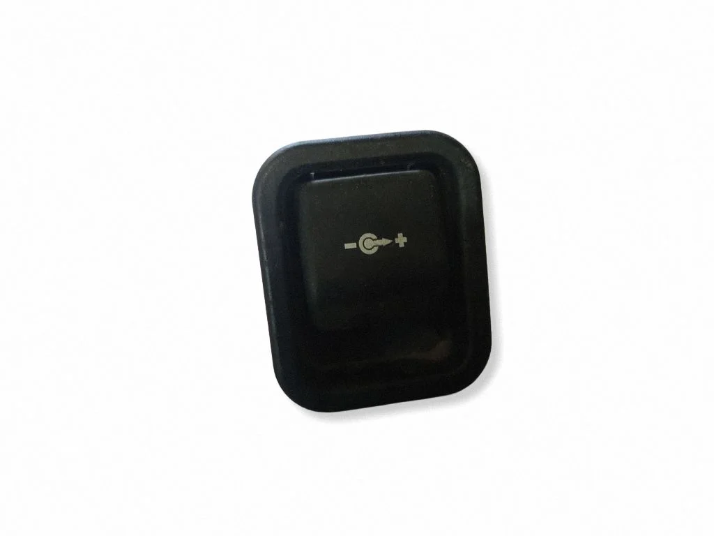 12 V lizdas (gale)