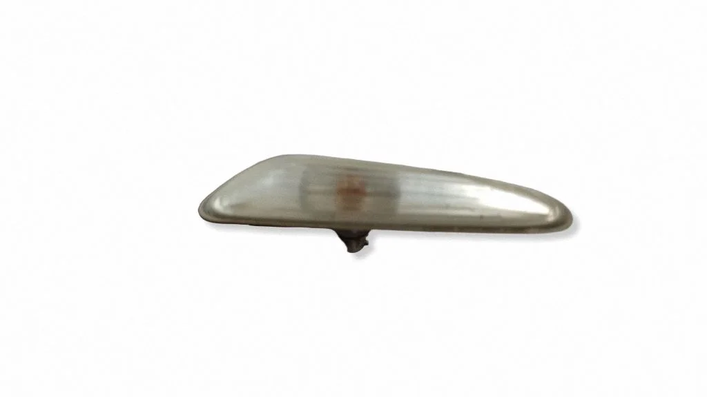 Front fender indicator light