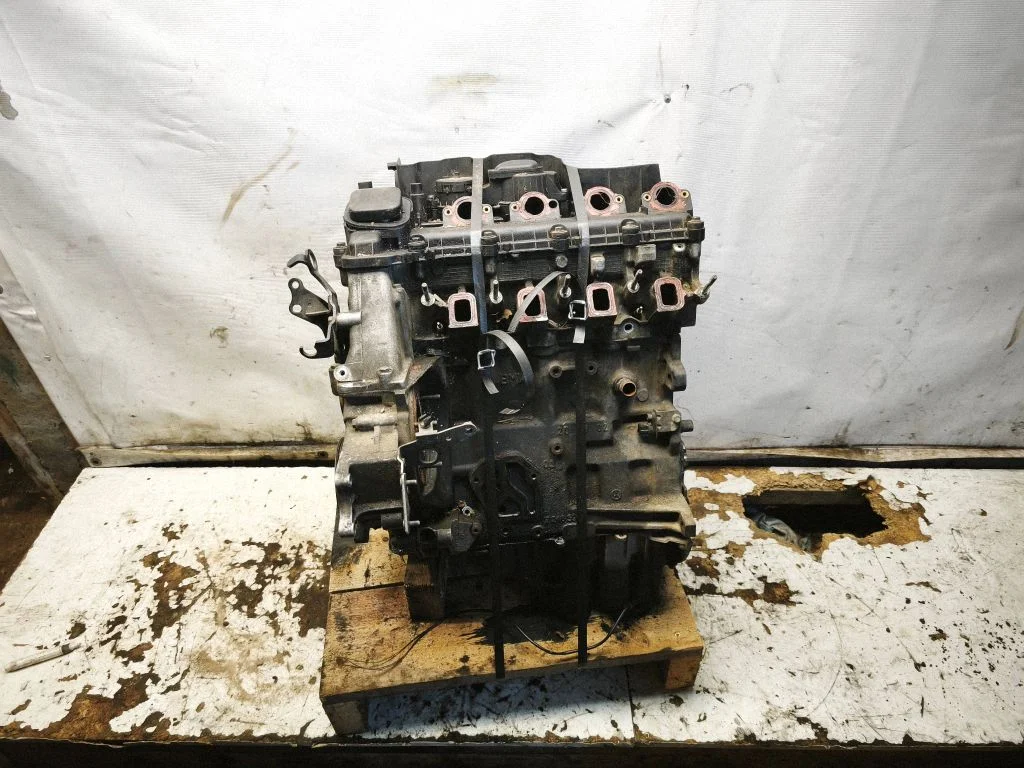 Engine M47D