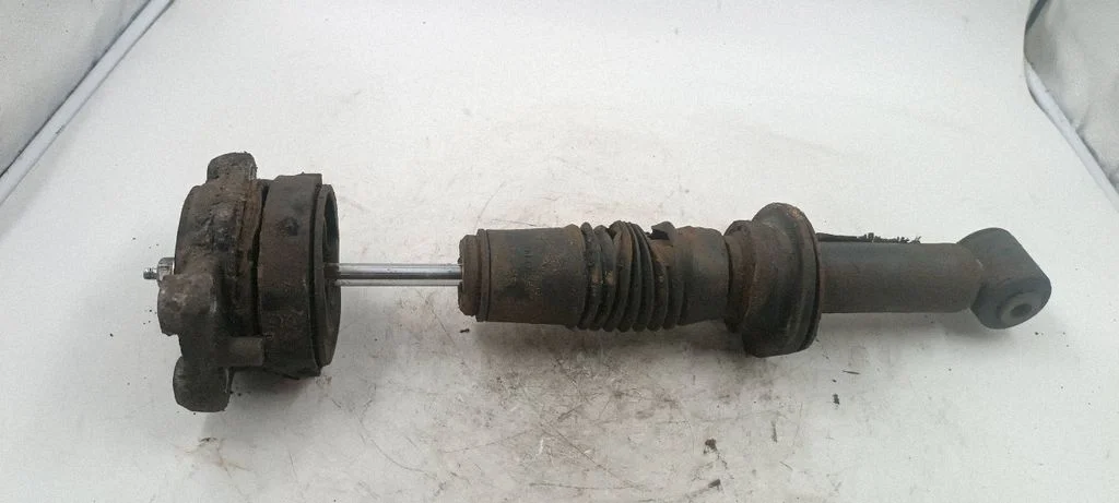 Rear shock absorber/damper