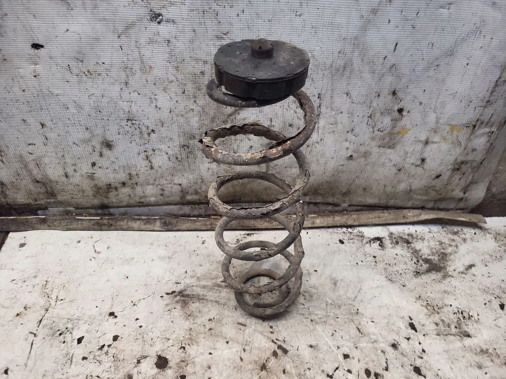 Rear coil spring