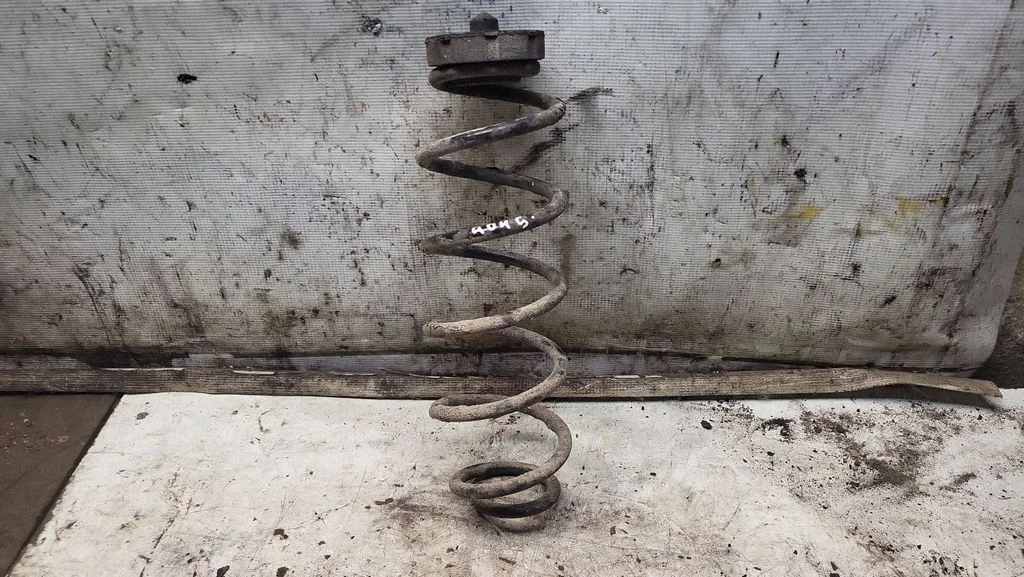 Rear coil spring