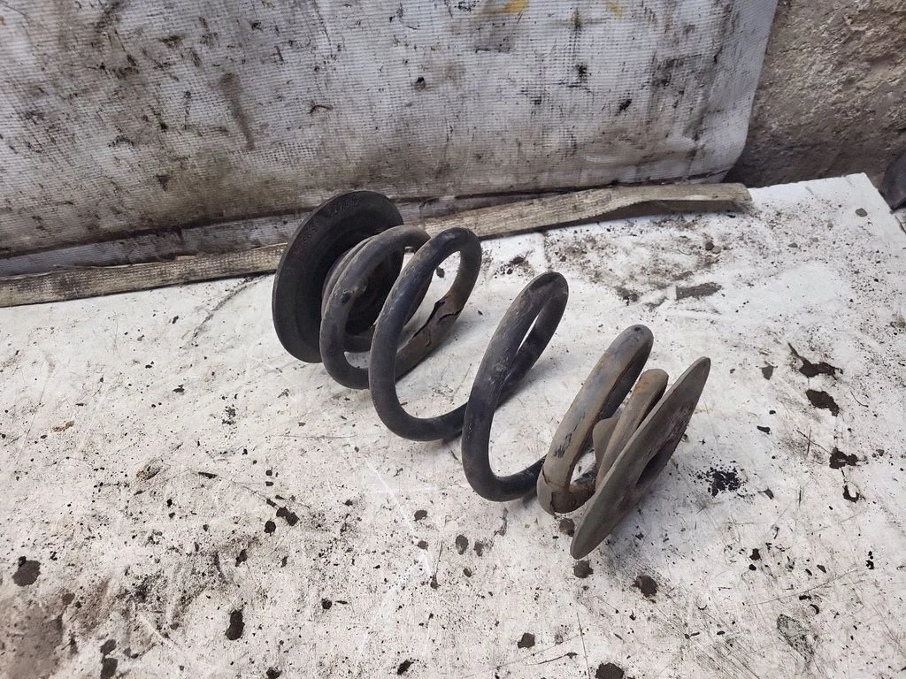 Rear coil spring