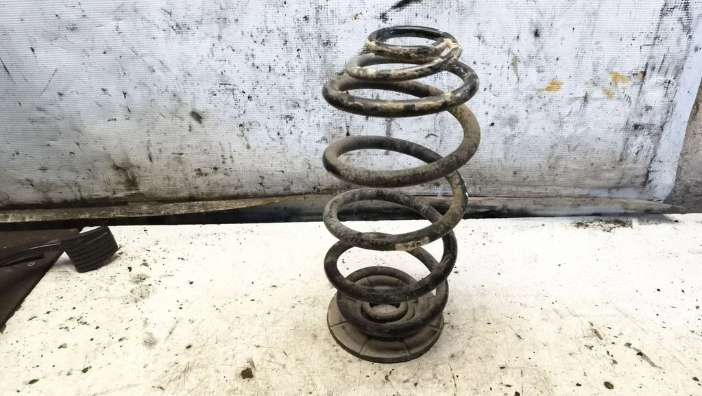 Rear coil spring
