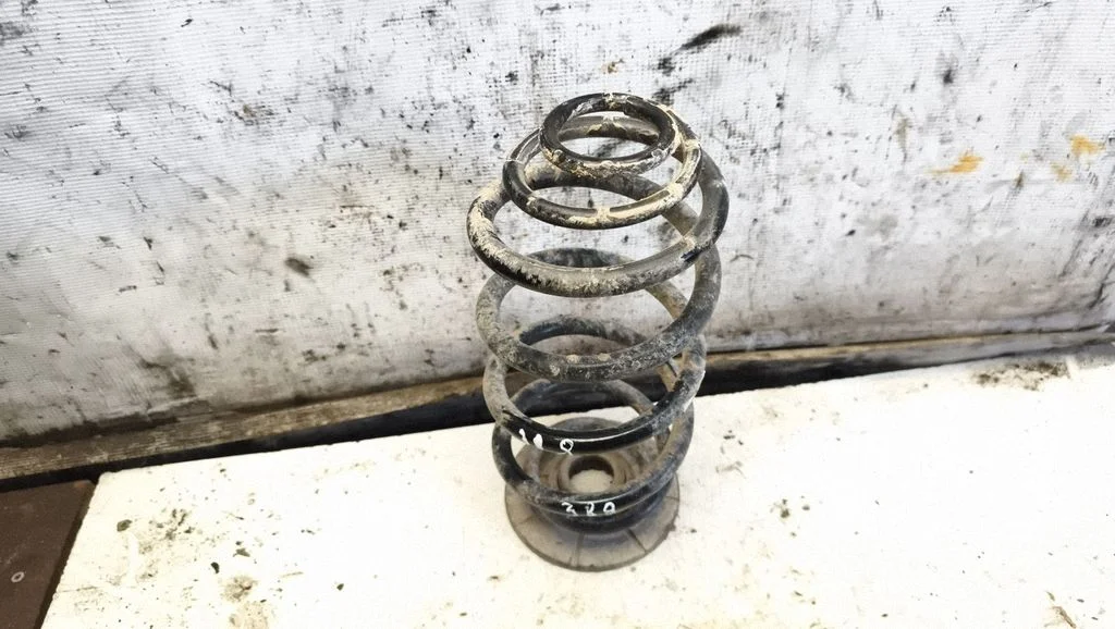 Rear coil spring