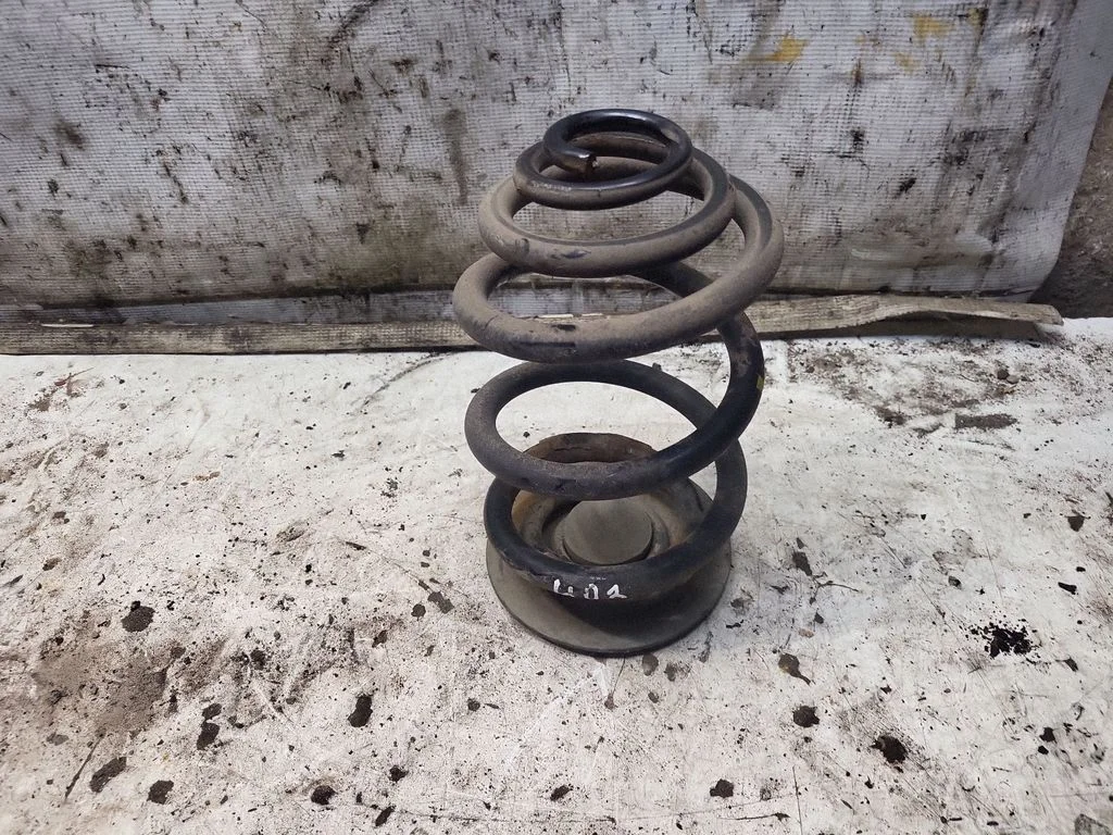 Rear coil spring
