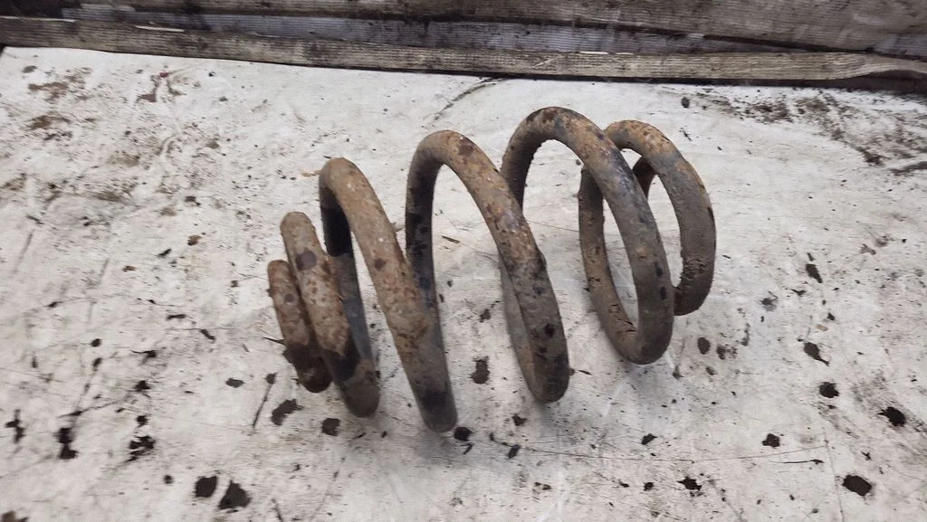 Rear coil spring