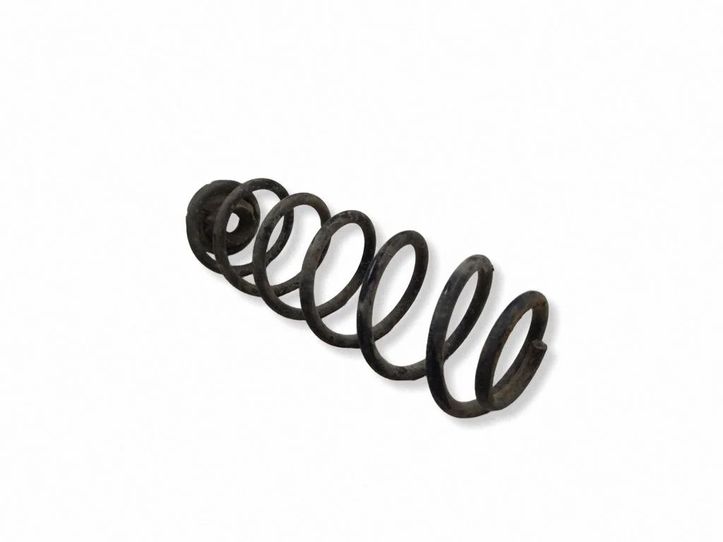 Rear coil spring