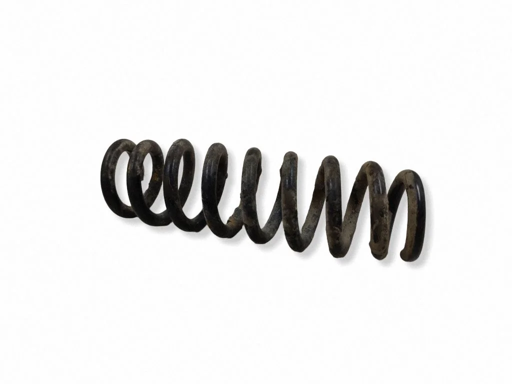 Rear coil spring