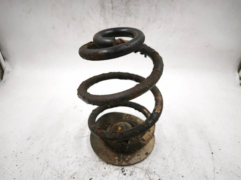 Rear coil spring – rear left