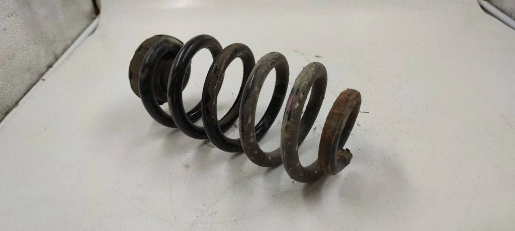 Rear coil spring