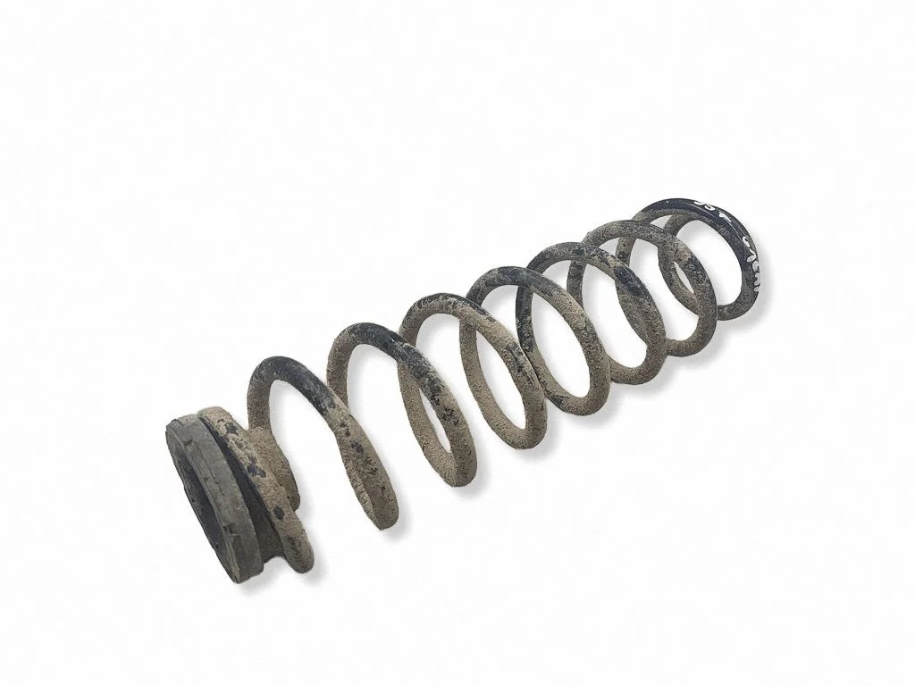 Rear coil spring