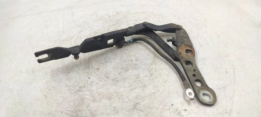 Engine bonnet/hood hinges – front left