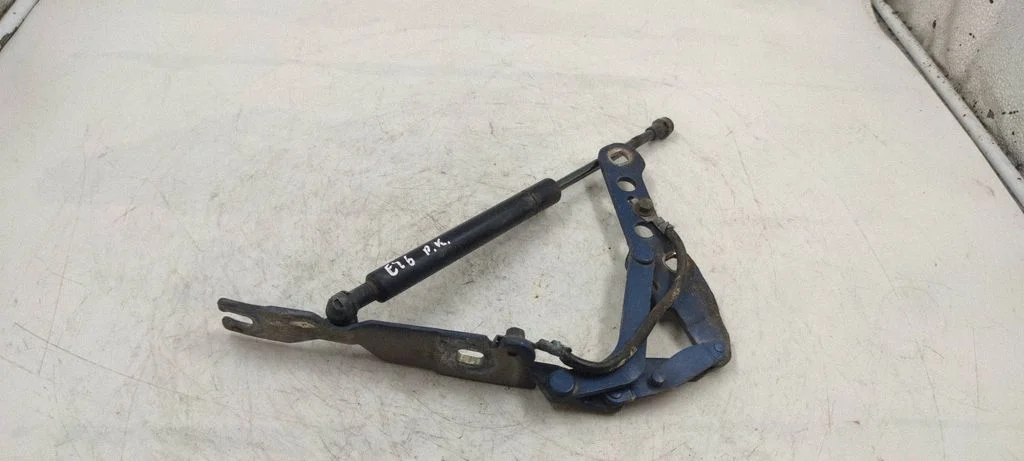 Engine bonnet/hood hinges – front left