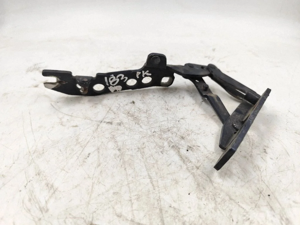 Engine bonnet/hood hinges – front left