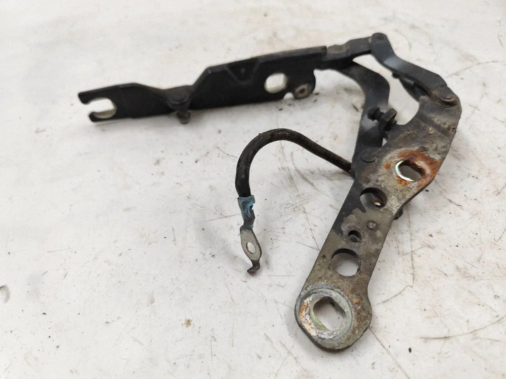 Engine bonnet/hood hinges – front left