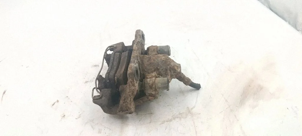 Tagumine pidurisadul – tagumine vasak
